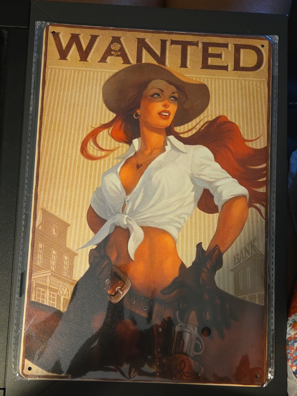Wanted Cowgirl Decorative Wall Art - Red Hair